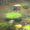 Buried Pond
