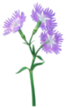Blue dianthus Big Flower icon in Pikmin Bloom.