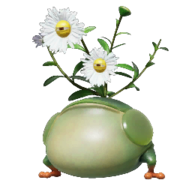 Icon for the Creeping Chrysanthemum, from Pikmin 4&#39;s Piklopedia.