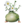 Icon for the Creeping Chrysanthemum, from Pikmin 4's Piklopedia.