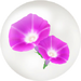 Red morning glory nectar in Pikmin Bloom.