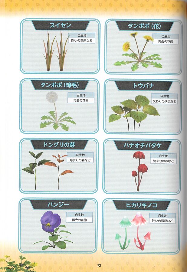 File:Scan 49.jpeg