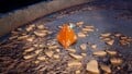 An alternative, more close-up, shot of the treasure in the location it is discovered.