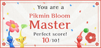 PB Master Quiz Master result.png