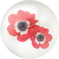 Red windflower nectar icon.png