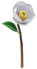 White camellia Big Flower icon.