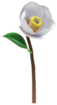 White camellia Big Flower icon.