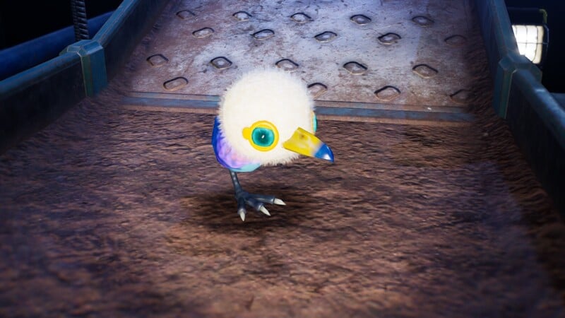 File:P4 Downy Snagret Close-Up.jpg