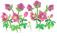 Red helleborus flowers icon.png