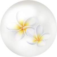 White frangipani nectar icon.png