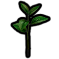 The Piklopedia icon of the Figwort in the Nintendo Switch version of Pikmin 2.