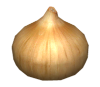 Onion Replica.png