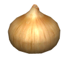 Artwork of the Onion Replica.