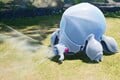 An Arctic Cannon Beetle in Pikmin 4's Piklopedia beginning to inhale.