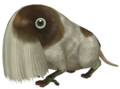 Artwork of the Bearded Amprat from Pikmin 3.