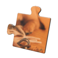 Icon for the Memory Fragment (Bottom Right), from Pikmin 4's Treasure Catalog.