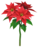 Red poinsettia Big Flower icon.
