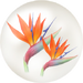 Red bird of paradise/strelitzia nectar from Pikmin Bloom.