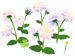 Texture for white dahlia flowers on the map in Pikmin Bloom.