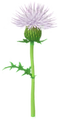Thumbnail for version as of 06:44, October 1, 2026