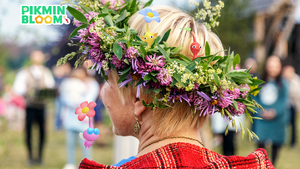 Promotional image for the 2026 Midsommar Festival Event in Pikmin Bloom.