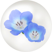 Blue nemophila nectar icon.png