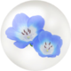 Icon for baby blue eye/nemophila nectar from Pikmin Bloom.