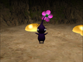A Purple Pikmin at full bloom after drinking nectar.