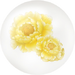 Yellow peony nectar in Pikmin Bloom.