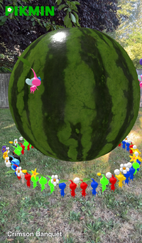 Pikmin Finder Crimson Banquet.png