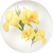 Yellow canna lily nectar from Pikmin Bloom.