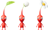 Red Pikmin all types.png