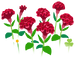 Texture for red celosia flowers on the map in Pikmin Bloom.