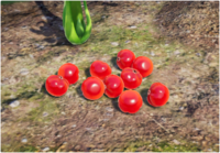 The image accompanying Olimar's voyage log #28 "Ultra-Spicy Berries".
