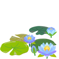 Blue water lily flowers icon.png