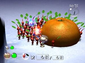 Red Pikmin and Captain Olimar stand near a Citrus Lump.