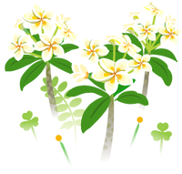 White frangipani flowers icon.png