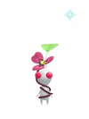An animation of a White Pikmin with a Clover (Rare) from Pikmin Bloom.