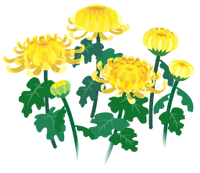 Yellow mum flowers icon.png