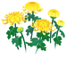 In-game texture for yellow chrysanthemum flowers on the map.