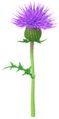 Thumbnail for version as of 06:45, October 1, 2026