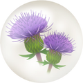 Thumbnail for version as of 06:47, October 1, 2026