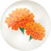 Red marigold nectar from Pikmin Bloom.