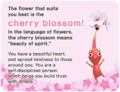 BloomFlowerQuizCherryblossom.png