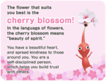 The cherry blossom result, from the Pikmin Bloom Flower Personality Quiz.