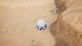 The treasure being carried by 10 Blue Pikmin.