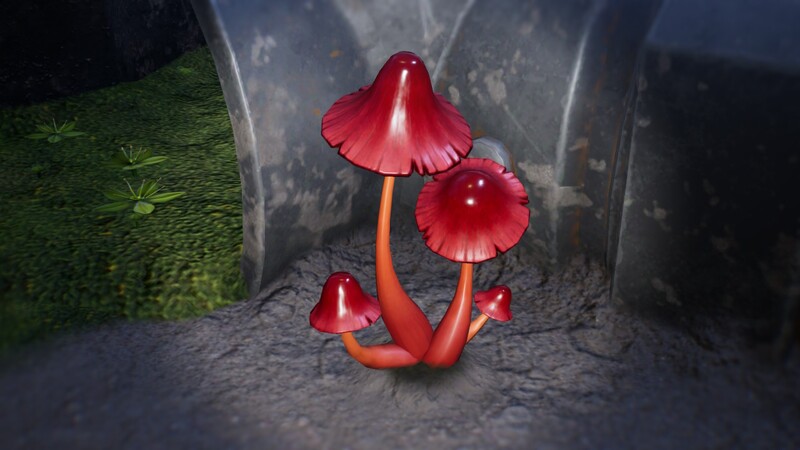 File:P4 Red Common Glowcap Close-Up.jpg