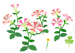 Texture for red petunia flowers on the map in Pikmin Bloom.