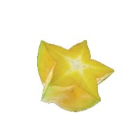 Icon for the Stellar Extrusion, from Pikmin 4's Treasure Catalog.