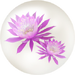 Blue orchid cactus nectar from Pikmin Bloom.